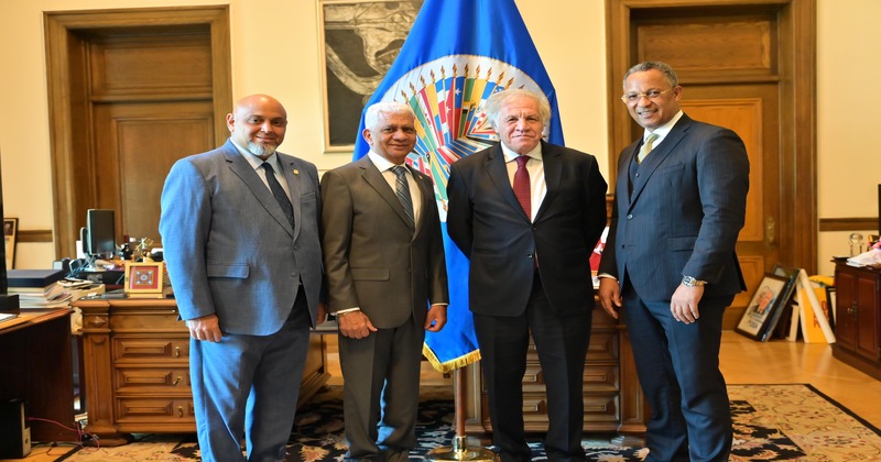 Presidente Senado RD y secretario OEA tratan organización “Parlamentos y Prosperidad”